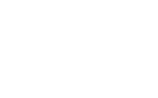 Logo DM 210 NEXT